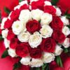 ⁦Elegant Red & White Roses⁩ - الصورة ⁦2⁩