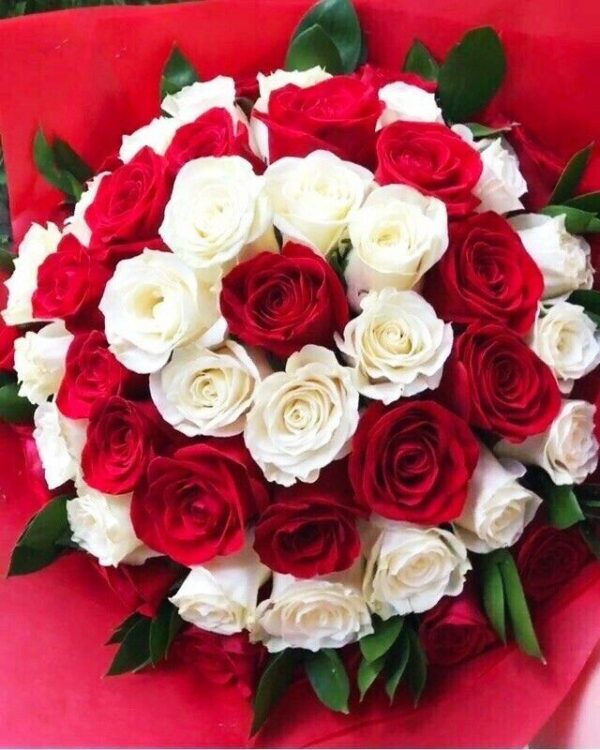 Elegant Red & White Roses - Image 2