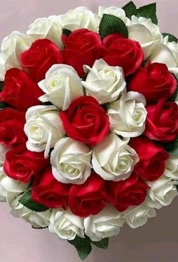 Elegant Red & White Roses - Image 3