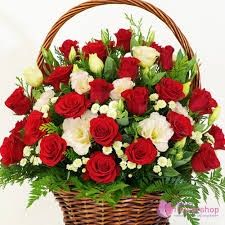 Red & White Symphony