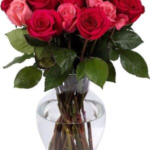 Pink & Red Rose Vase
