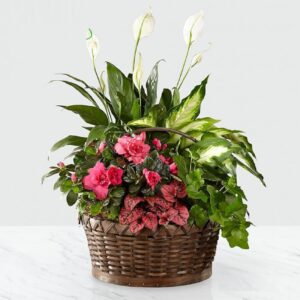 Mini Jungle Basket