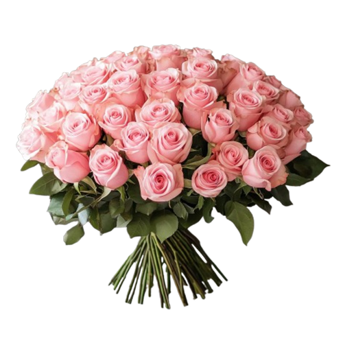 50 Pink Roses Bouquet