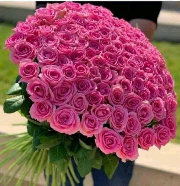 100 Pink Roses Bouquet - Image 3