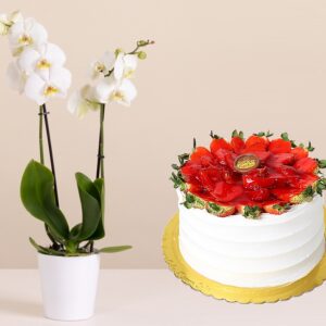 Orchid Pot & Fruit Cake