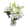 White Grace - Image 4