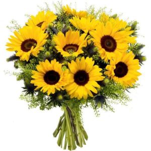 Sunny Blooms