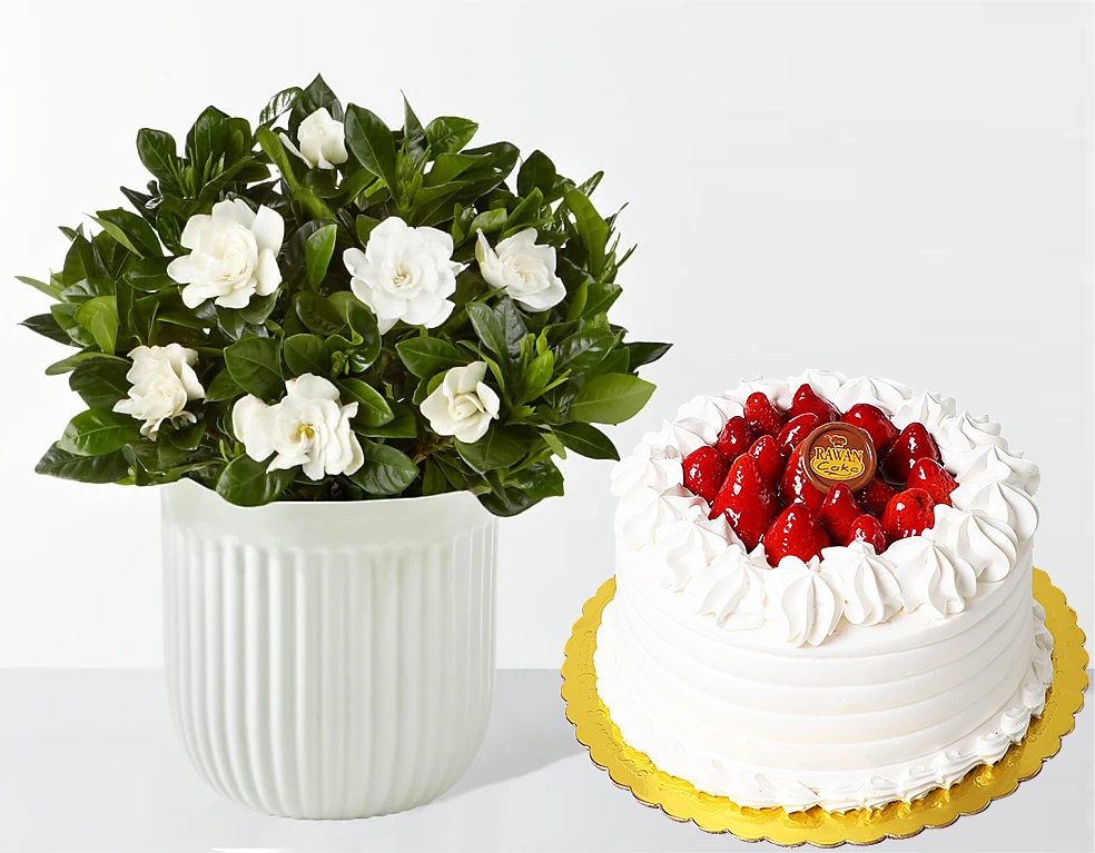 Gardenia Plant & Strawberry Cake 1 Gardenia Plant & Strawberry Cake