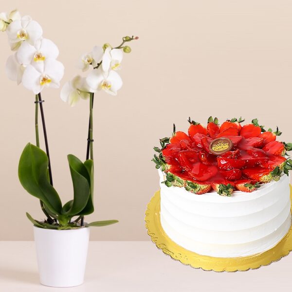 Orchid Pot & Fruit Cake
