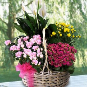 Green Harmony Basket