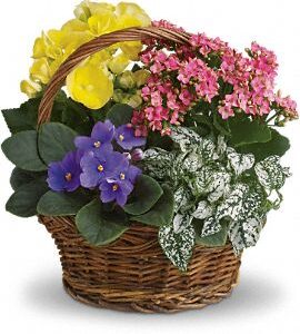 Color Bloom Basket