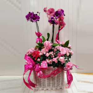 Orchid Bloom Basket