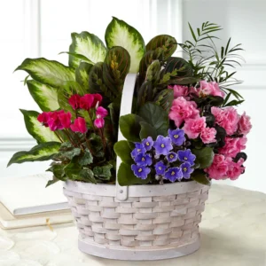 Bloom & Green Basket