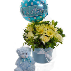 Welcome Baby Boy Set