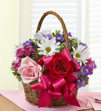 Seasonal Bloom Delight