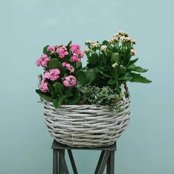 Blooming Garden Basket