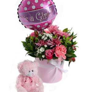 Welcome Baby Girl Set