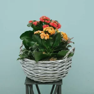 Floral Bliss Basket