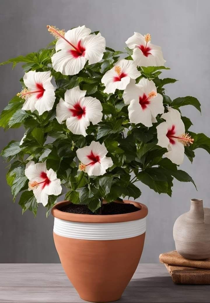 Best Flower Delivery in Amman (2026 Guide) 3 bd98ab5113f3282f5a7aa35e0afb6930 Best Flower Delivery in Amman (2026 Guide) - WowWard ورد وهدايا عمان