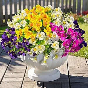 Online Flower Shop in Jordan โ How to Choose the Best ๐๐น 1 81FzElUJ6KL. AC SY300 SX300 QL70 FMwebp Online Flower Shop in Jordan โ How to Choose the Best ๐๐น - WowWard ูุฑุฏ ููุฏุงูุง ุนู
ุงู