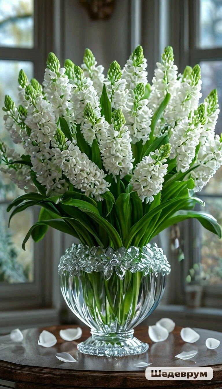8a800d9b29523aa4bd2426283c2b5843 Luxury Flower Bouquets in Jordan – Premium Gift Ideas 🌸✨ - WowWard ورد وهدايا عمان