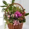 1-1-4.jpg Mini Jungle Basket
