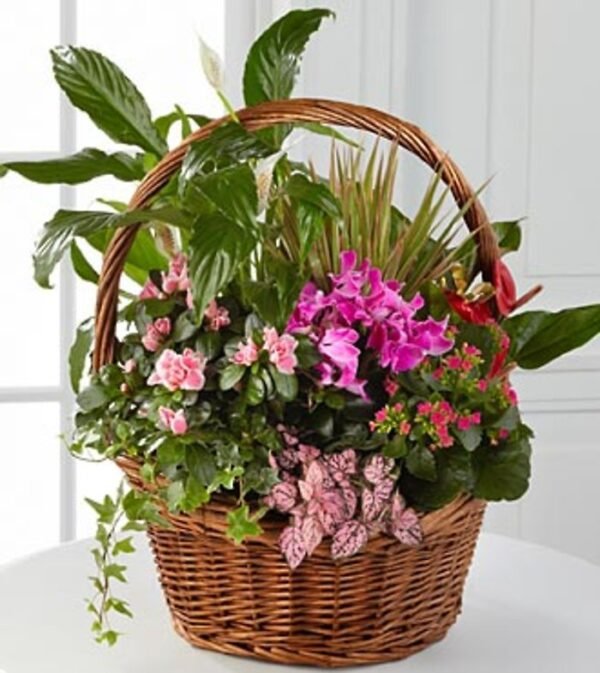 1-1-4.jpg Mini Jungle Basket