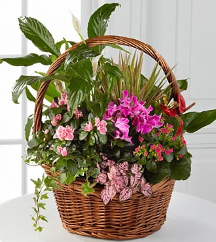 Mini Jungle Basket product thumbnail 2