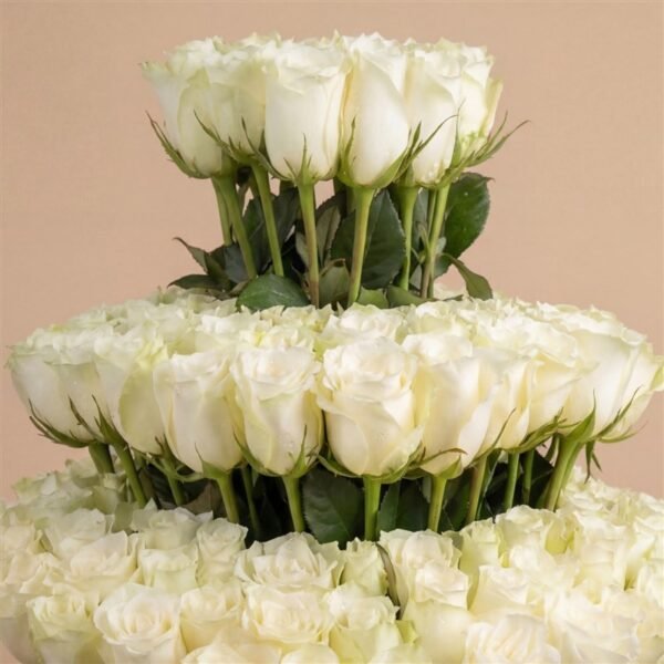 White Rose Royal Box | Flower & Gift Delivery in Amman, Jordan – WowWard (Photo 2)