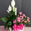 1-3-2.webp Mini Jungle Basket