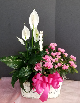 1-3-2.webp Mini Jungle Basket