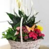 1-4-1.jpg Mini Jungle Basket