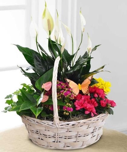1-4-1.jpg Mini Jungle Basket