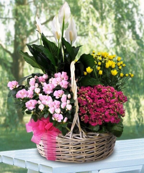 1-5.jpg Mini Jungle Basket