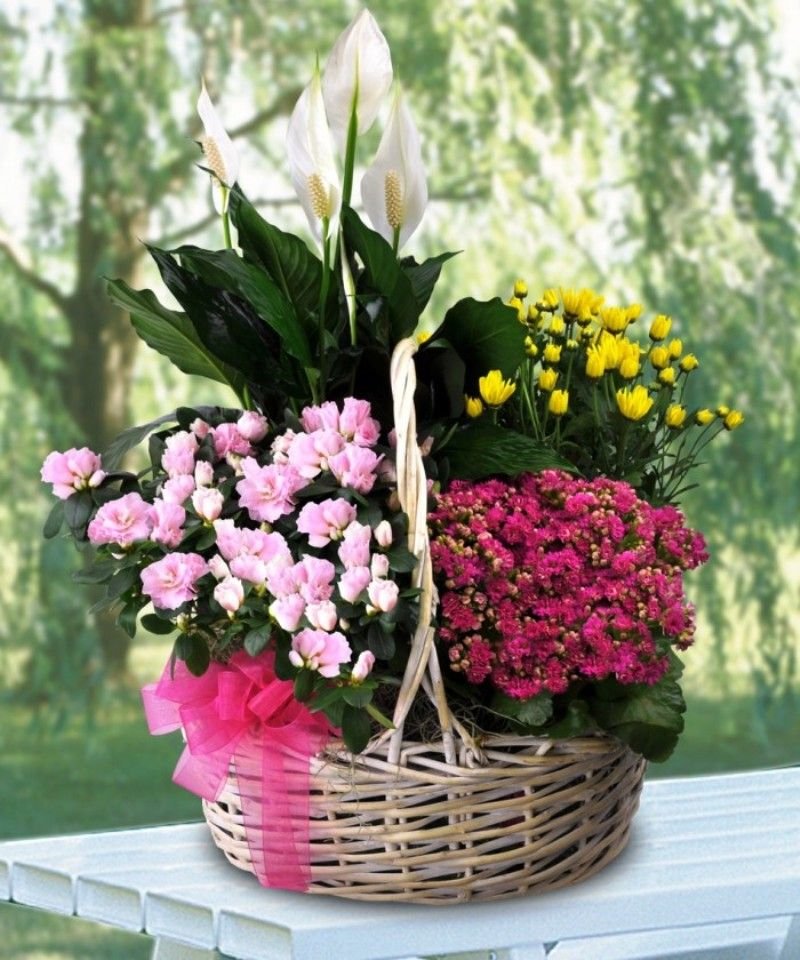 Mini Jungle Basket product thumbnail 5