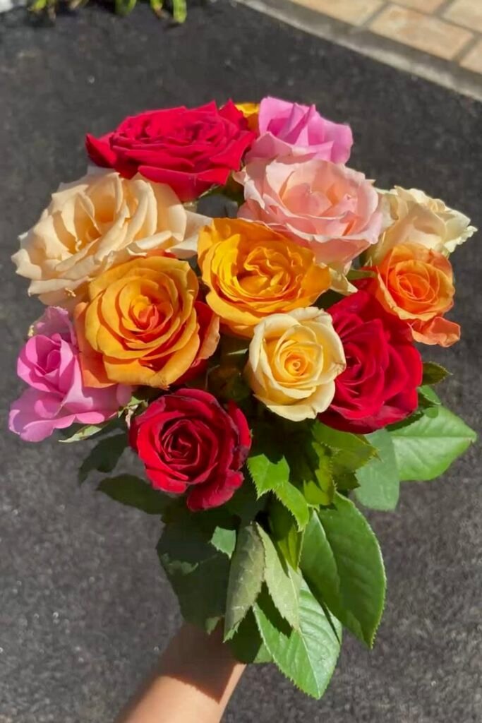 About WowWard – handcrafted flower bouquet by our Amman florists