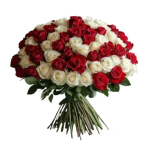 100-red-white-roses-bouquet.webp 100 Red & White Roses Bouquet