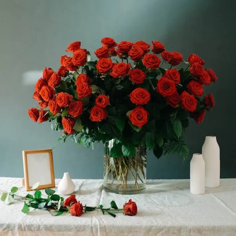 Red Royale Vase Amman | WowWard Flower & Gift Delivery