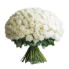 100-white-roses-elegance.webp 100 White Roses Elegance
