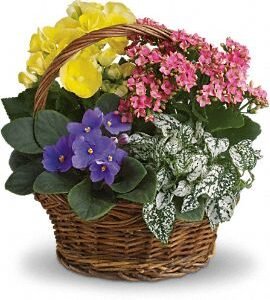 14-1.jpg Color Bloom Basket
