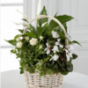 White Blossom Basket | Flower & Gift Delivery in Amman, Jordan – WowWard (Photo 2)