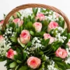 Blush & Green Basket | Flower & Gift Delivery in Amman, Jordan – WowWard (Photo 2)