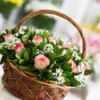Blush & Green Basket | Flower & Gift Delivery in Amman, Jordan – WowWard (Photo 3)