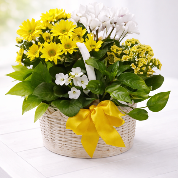 1fa20721-445b-44d9-9024-f01322c9a980.png Bloomify Amman | WowWard Flower & Gift Delivery