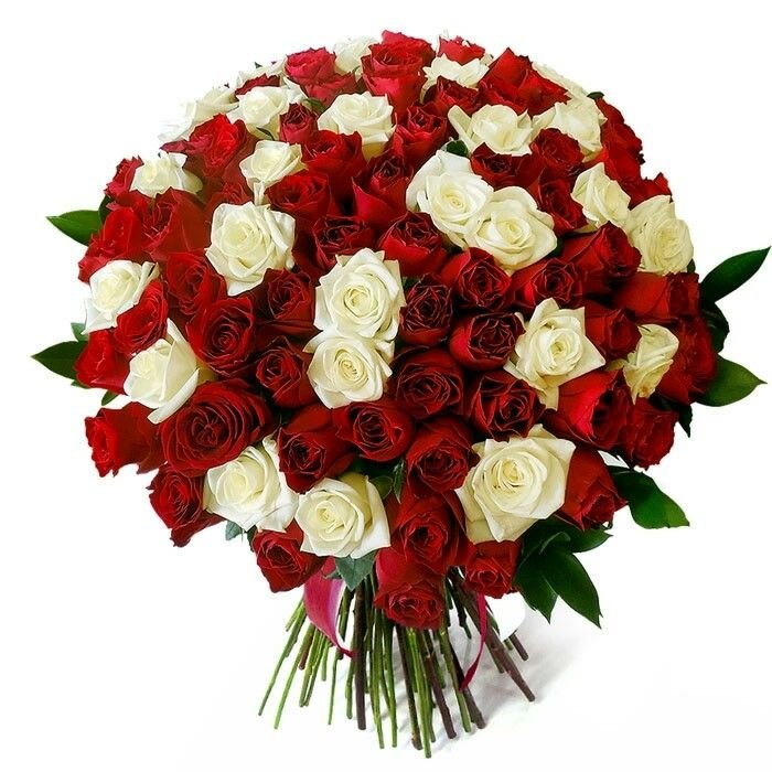 100 Red & White Roses Bouquet product thumbnail 2