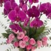 Orchid & Rose Vase | Flower & Gift Delivery in Amman, Jordan – WowWard (Photo 2)