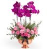 Orchid & Rose Vase Amman | WowWard Flower & Gift Delivery