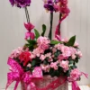 Orchid Bloom Basket | Flower & Gift Delivery in Amman, Jordan – WowWard (Photo 2)