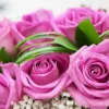 Blush Rose Box | Flower & Gift Delivery in Amman, Jordan – WowWard (Photo 2)