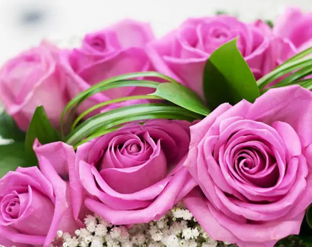 Blush Rose Box product thumbnail 2